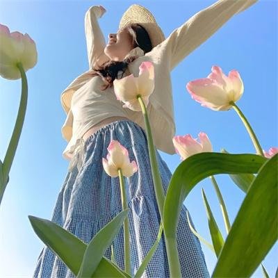 爱尔兰的弗兰克